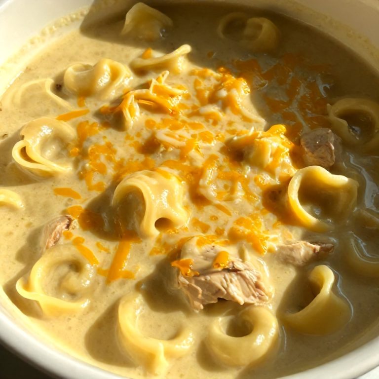 Creamy Crock Pot Chicken Parmesan Soup