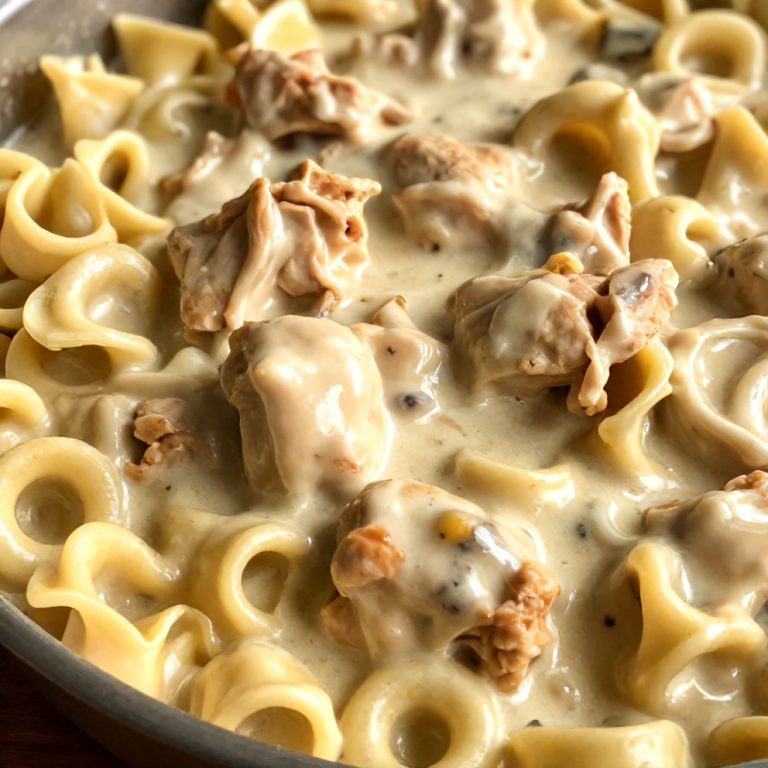 Creamy Crockpot Chicken Tortellini